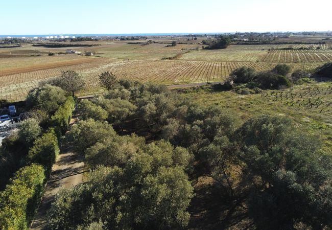 Villa à Frontignan - Frontignan - Mas au milieu des Vignes - piscine Villa à Frontignan - Frontignan - Mas au milieu des Vignes - piscine