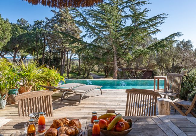 Villa à Frontignan - Frontignan - Mas au milieu des Vignes - piscine Villa à Frontignan - Frontignan - Mas au milieu des Vignes - piscine