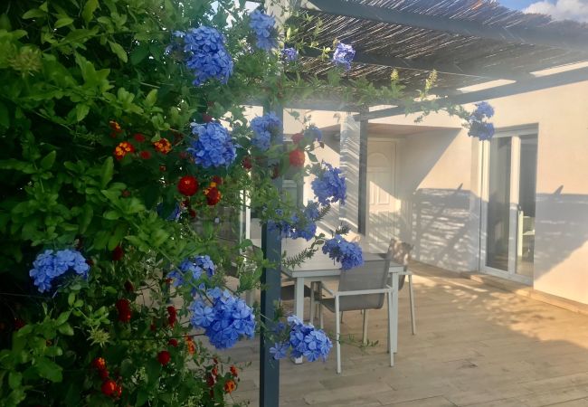 Villa à Sète - Villa en 1ère ligne sur l’Étang de Thau – Piscine Villa à Sète - Villa en 1ère ligne sur l’Étang de Thau – Piscine