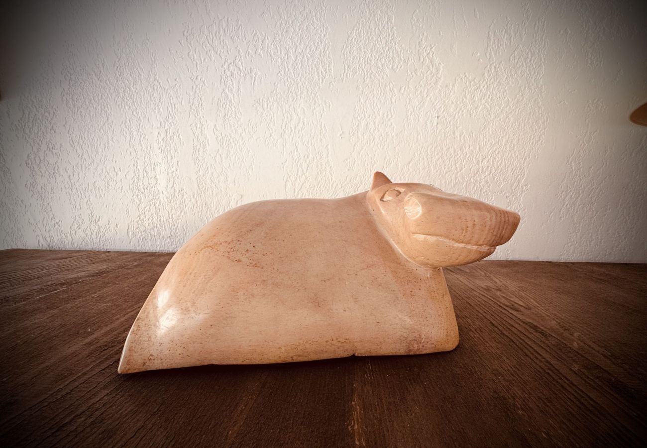 Appartement à Sète - L’Hippopotame rose – Duplex avec terrasse sur la M